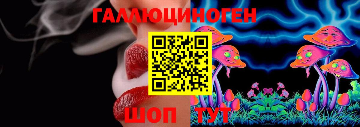 Галлюциногенные грибы Cubensis Красноярск
