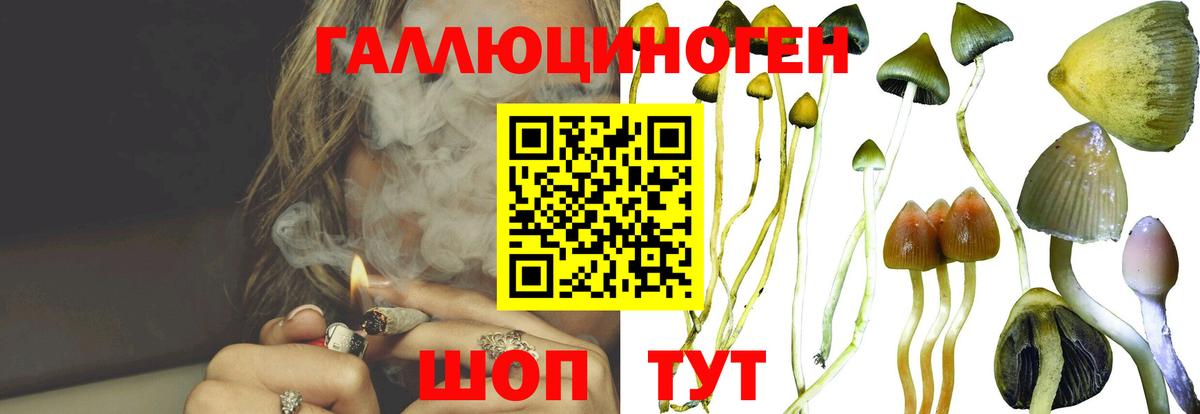 Красноярск  Галлюциногенные грибы Psilocybe  дарнет шоп  Вход с VPN 